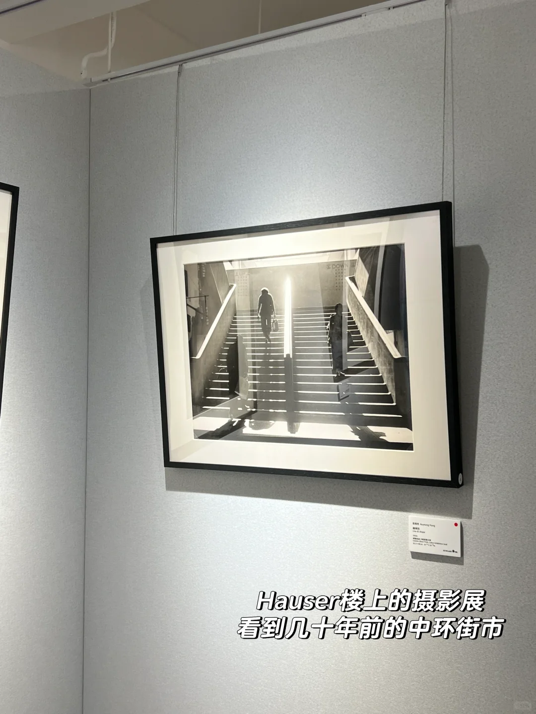 香港plog｜Art Basel vibe ?