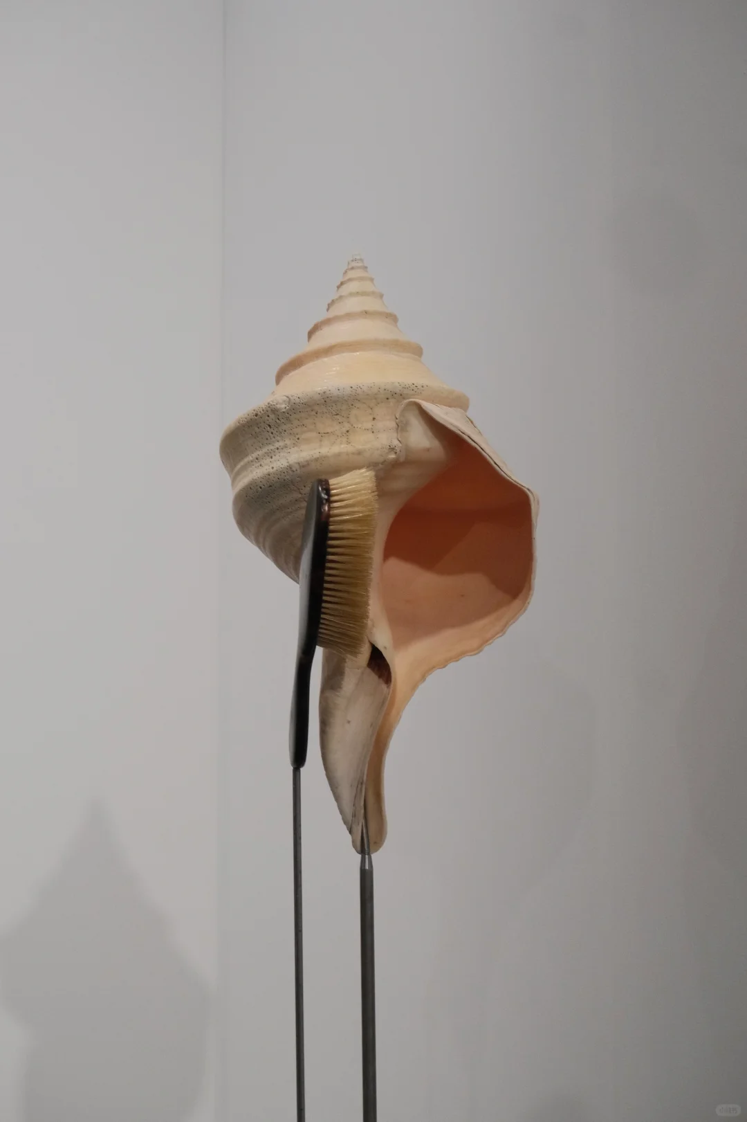 香港｜2025年巴塞尔艺术展?必看攻略