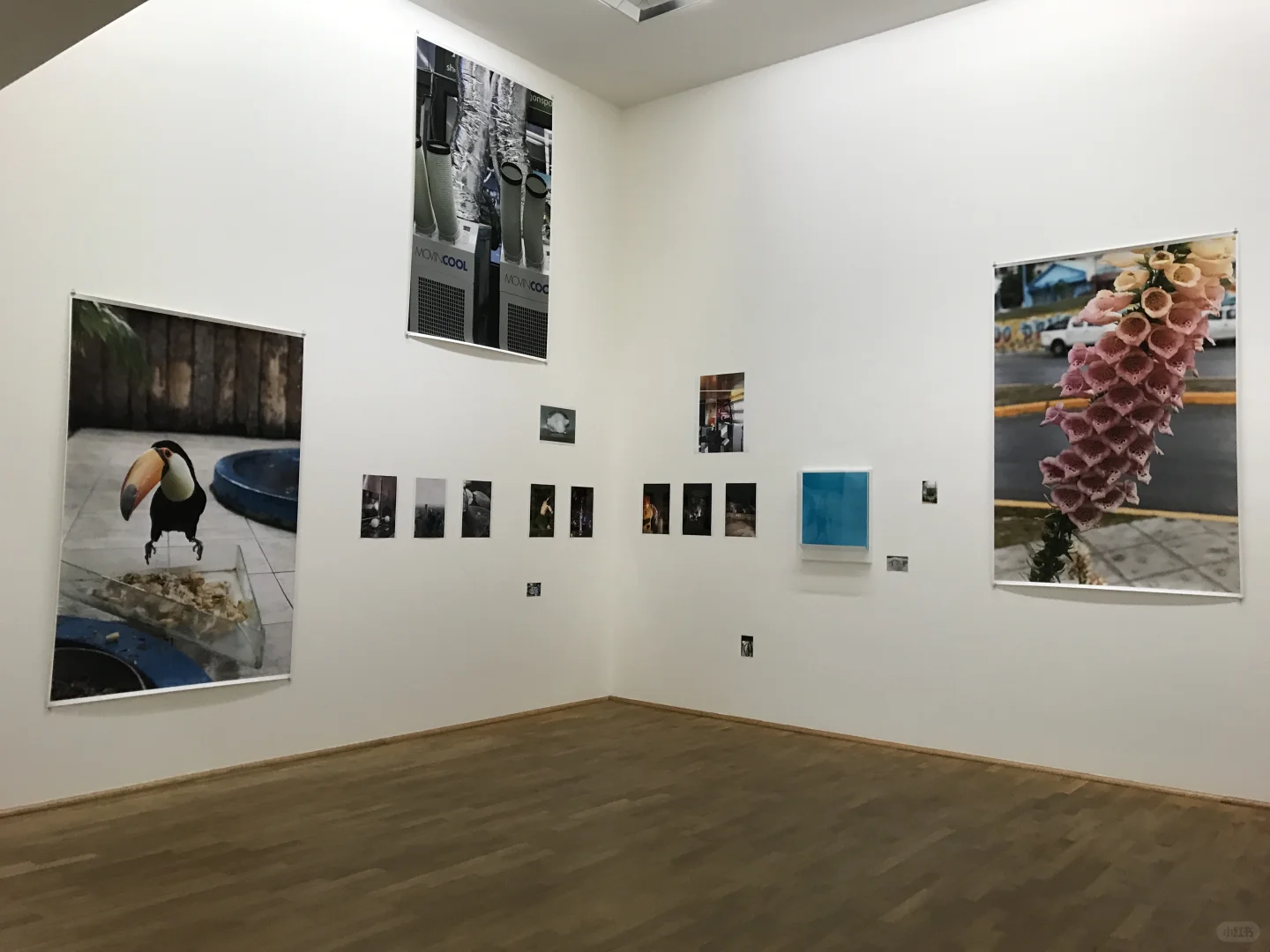 看个展???