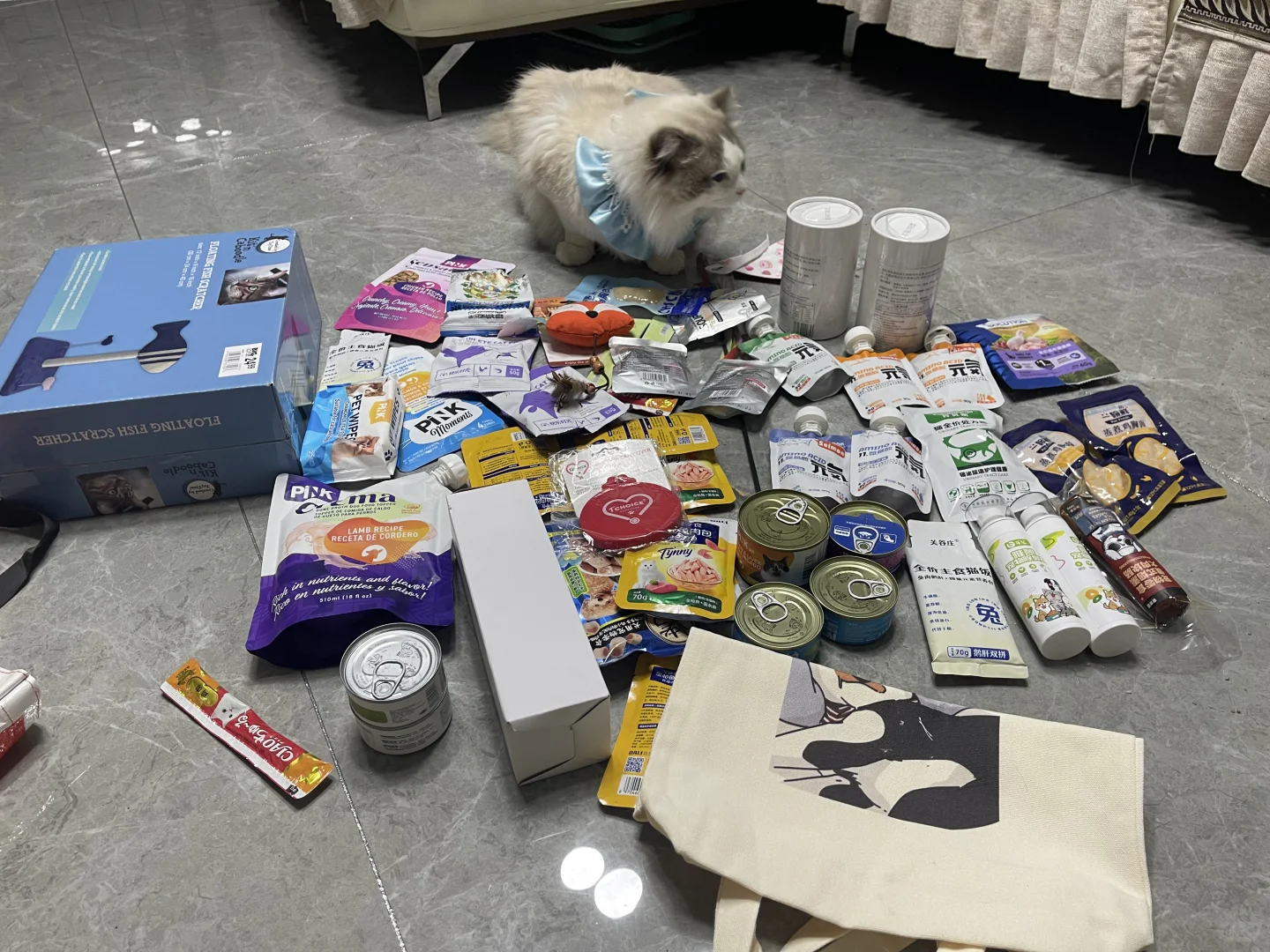 南京世界宠物博览会?今日收获
