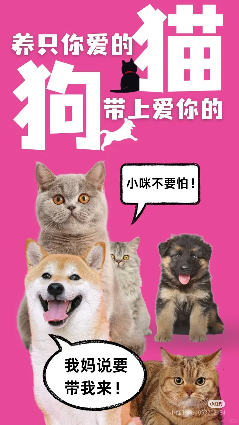 厦门宠物展明天就开展了，要去吗