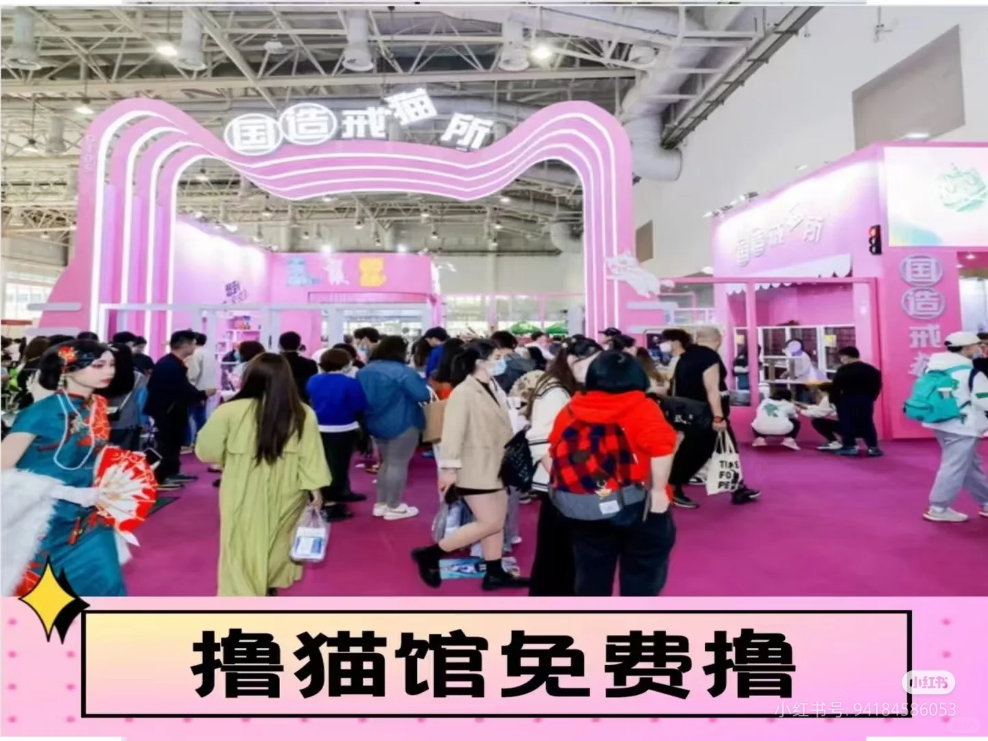 厦门宠物展明天就开展了，要去吗