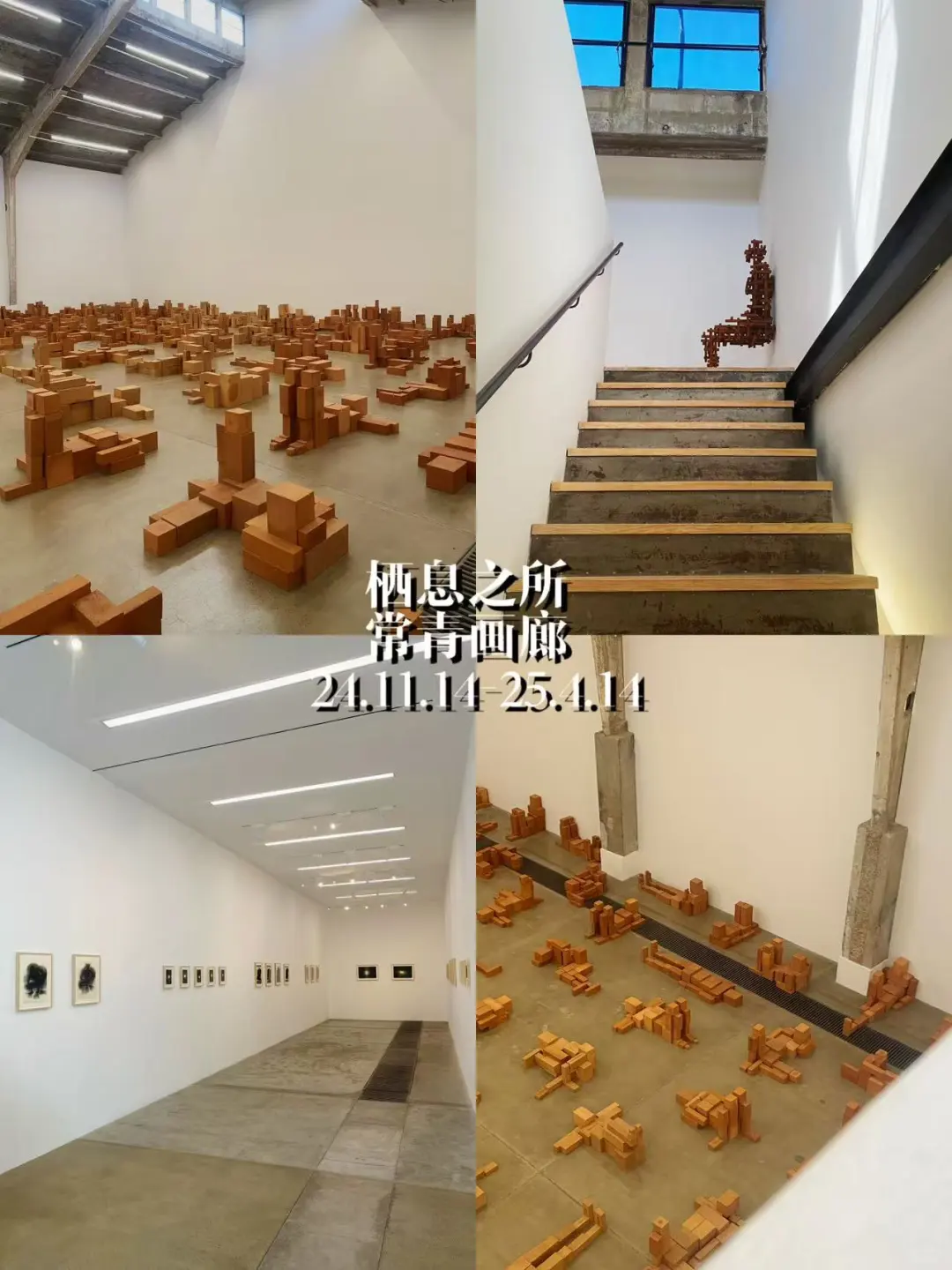 你不知道的798 ?️免费展览竟然这么多！