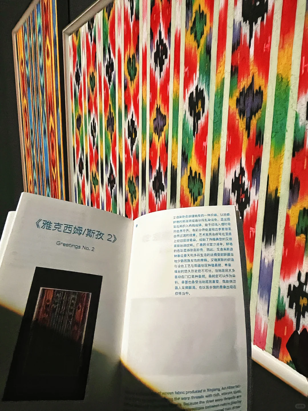 798新展！沉浸互动装置「信任坠落」个展开幕！！
