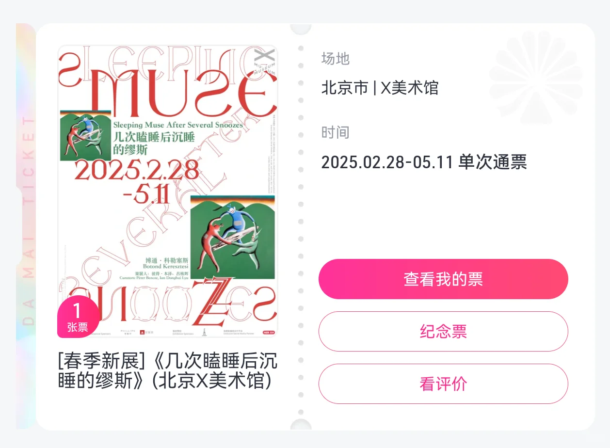 X美术馆核销