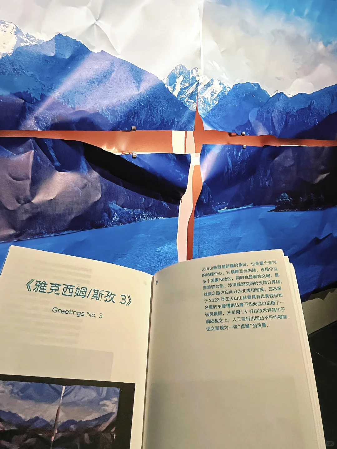 798新展！沉浸互动装置「信任坠落」个展开幕！！