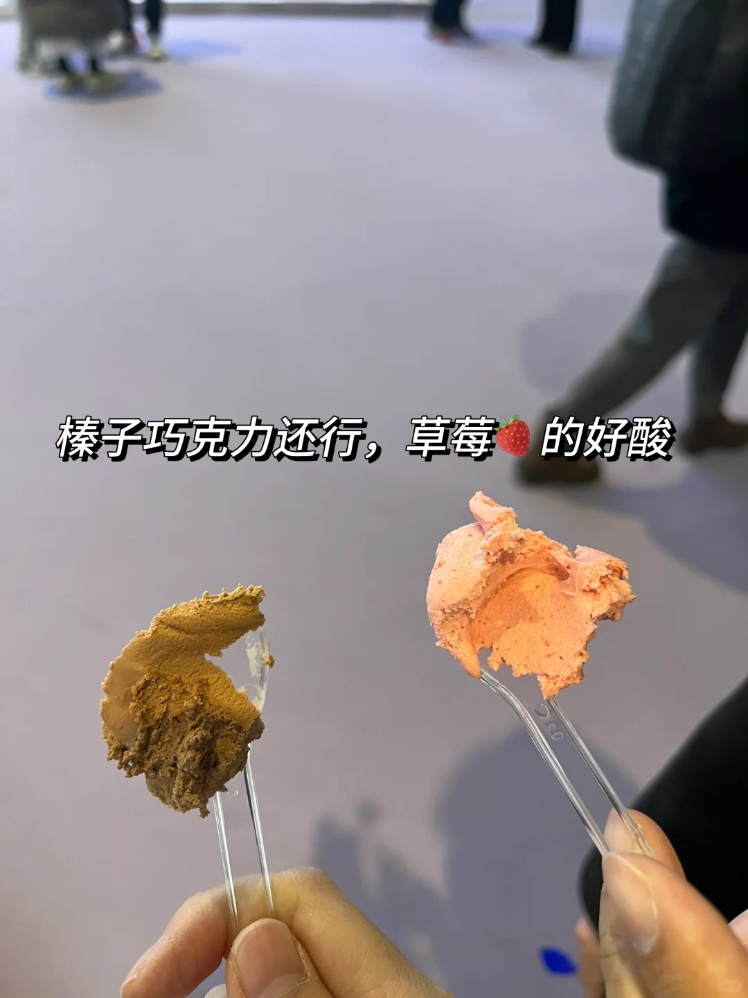 什么博览会，明明是免费小吃街?