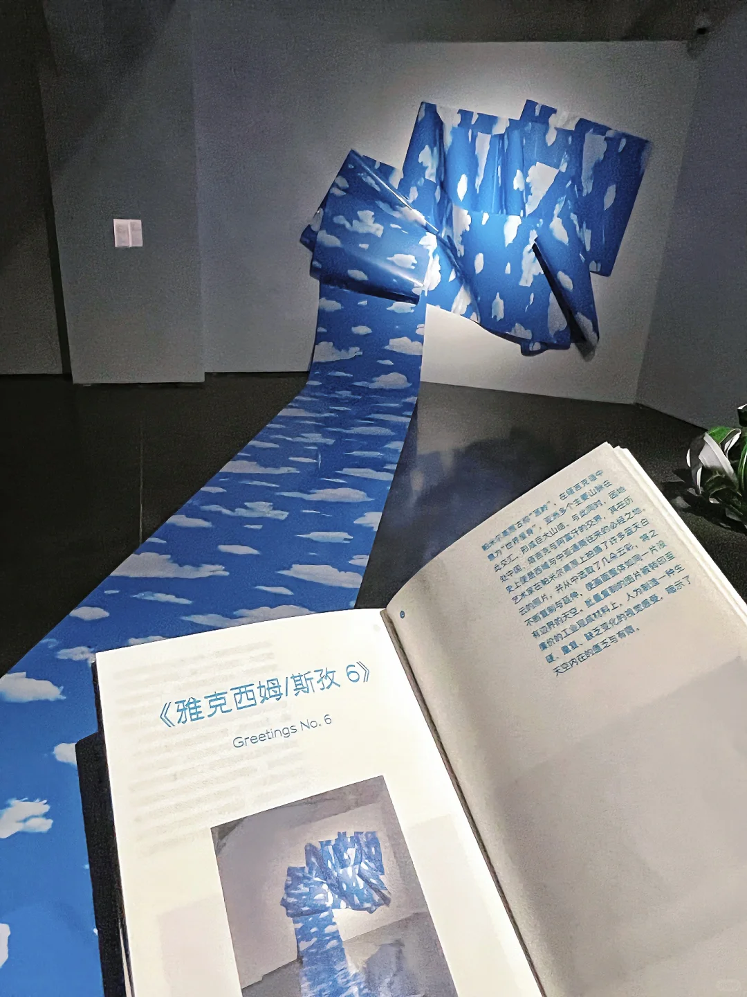 798新展！沉浸互动装置「信任坠落」个展开幕！！