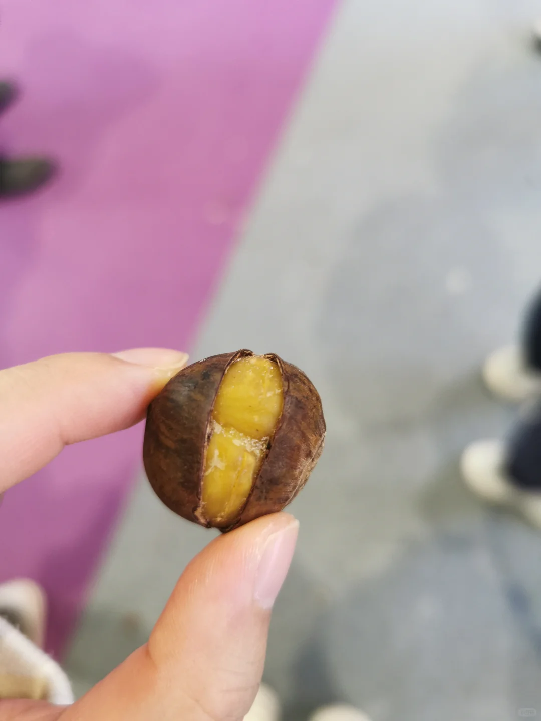 上海酒店食品展?超级蹭吃攻略