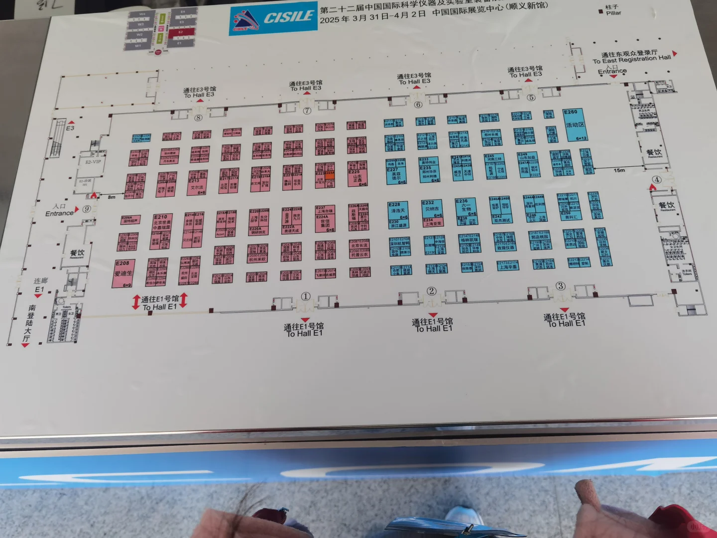 展会英文协助岗