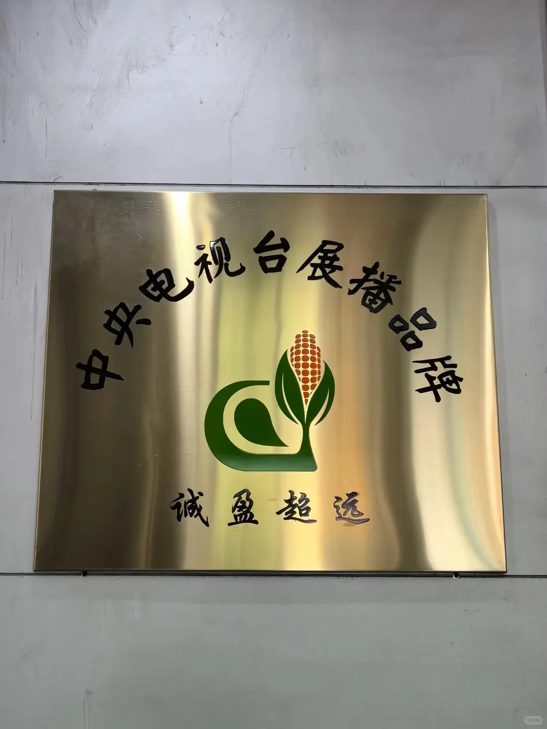 这是一篇招聘通知~