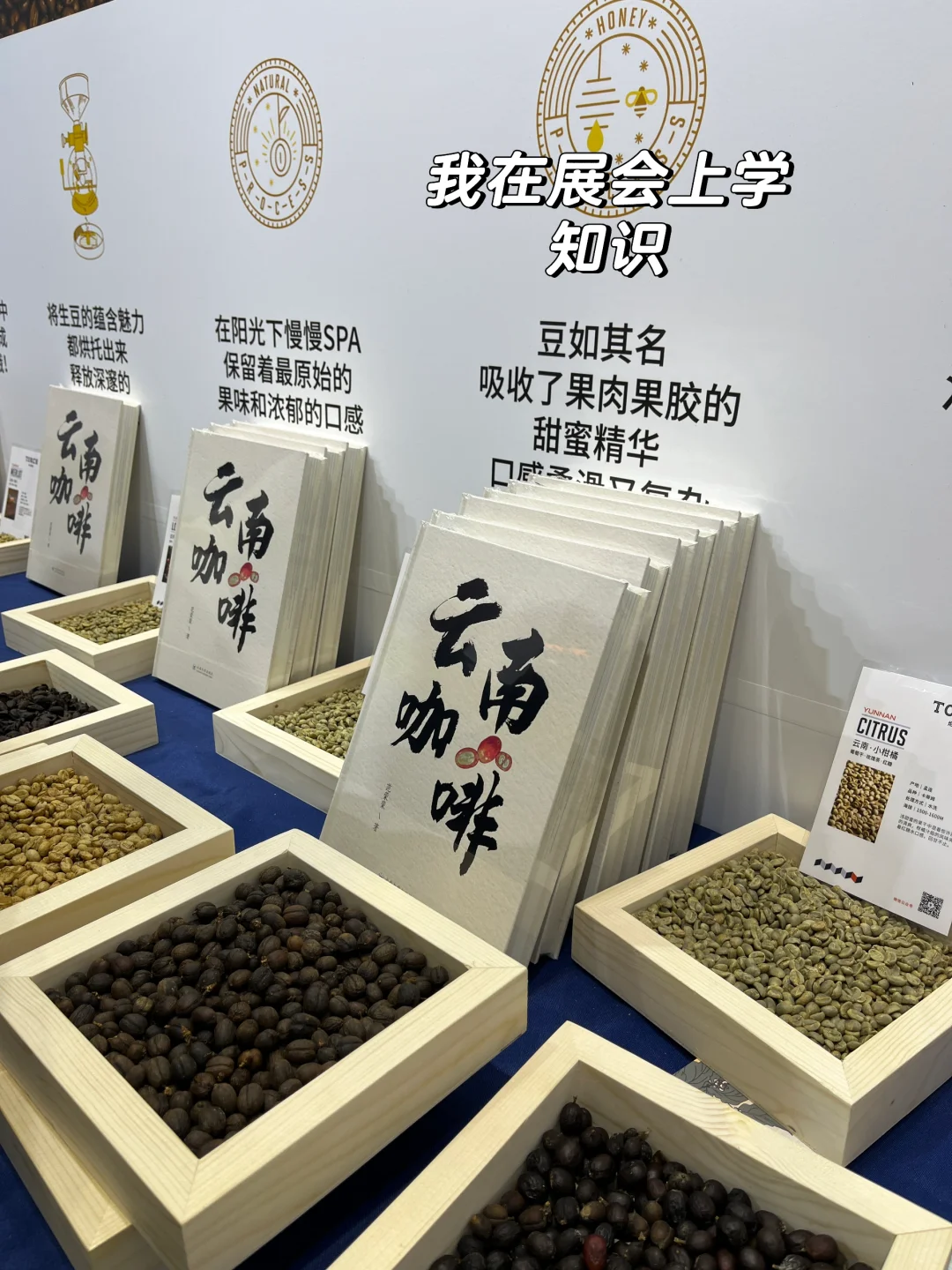 广州牛马到上海hotelex展会｜见世界PLOG