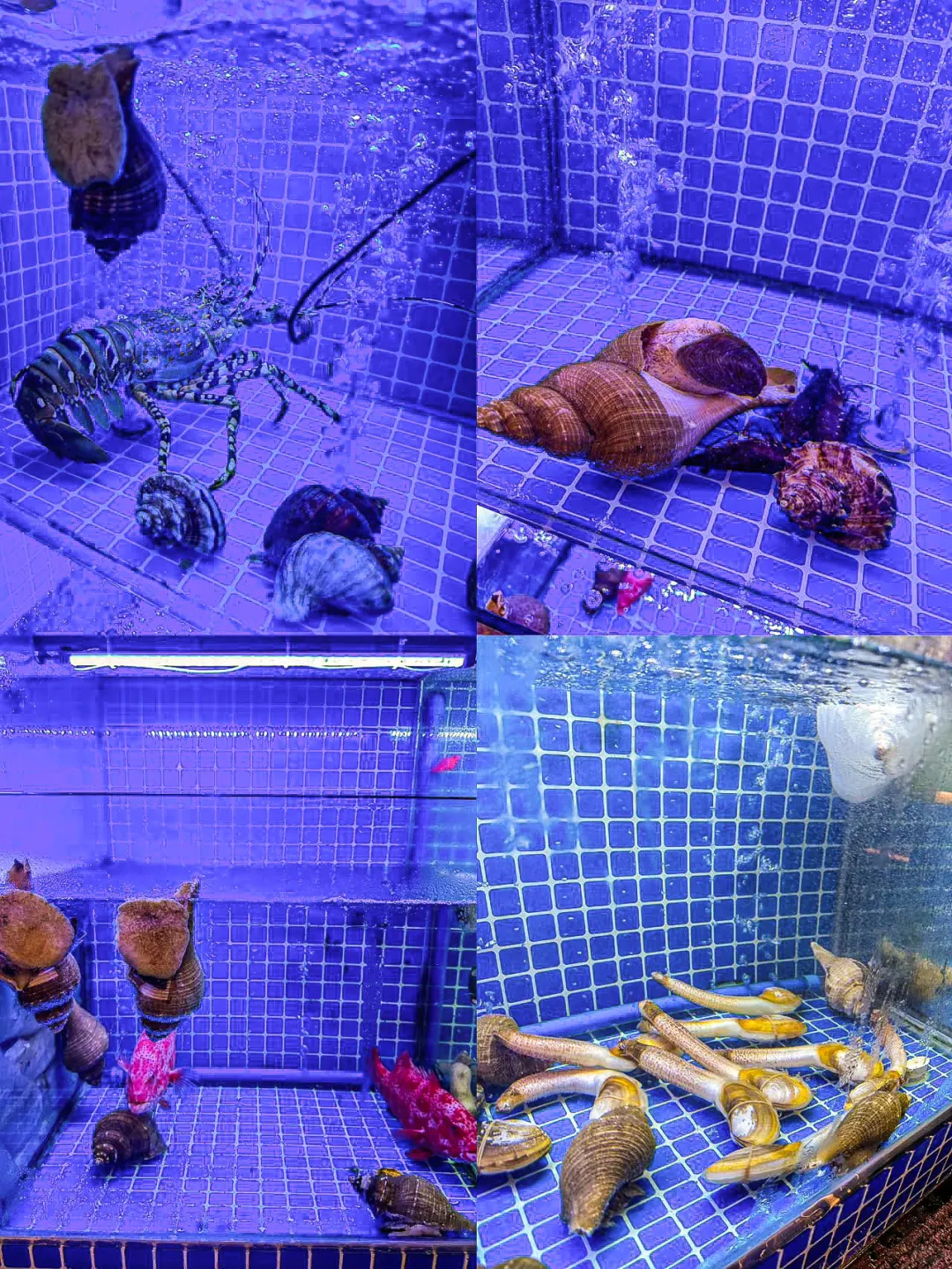 会展中心旁私藏的宴请宝藏！聚会就来这