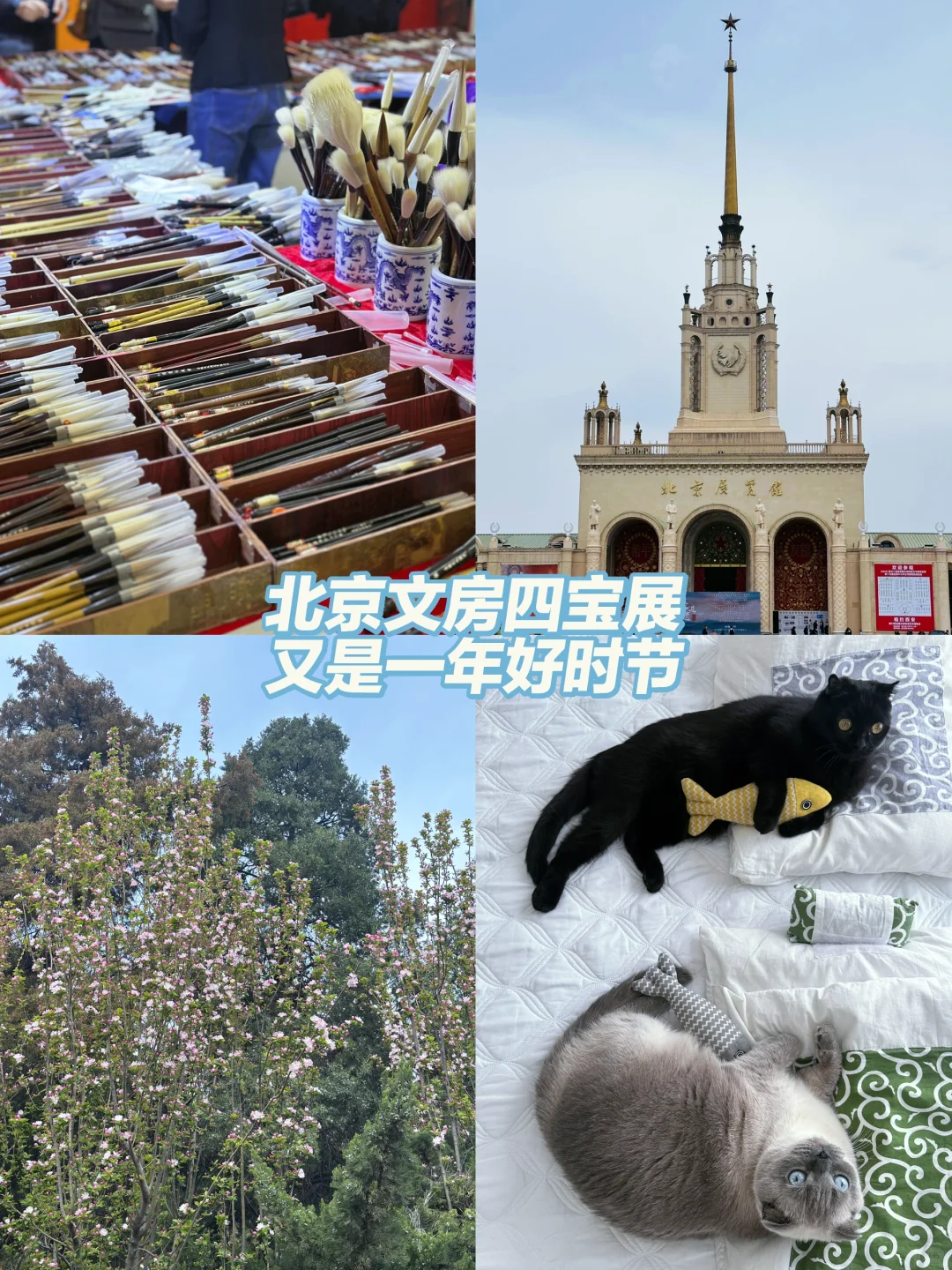 北京文房四宝展