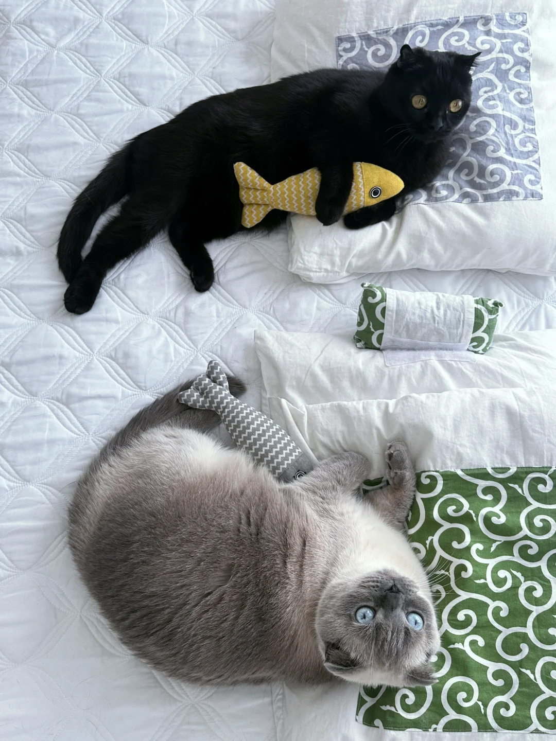 北京文房四宝展