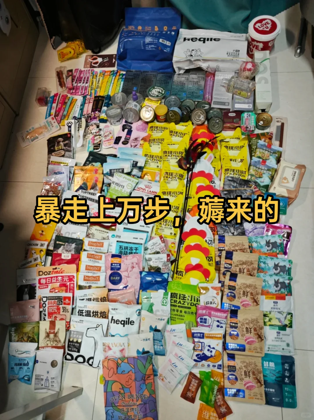 上海5月它博会来啦?免费送票附逛展攻略