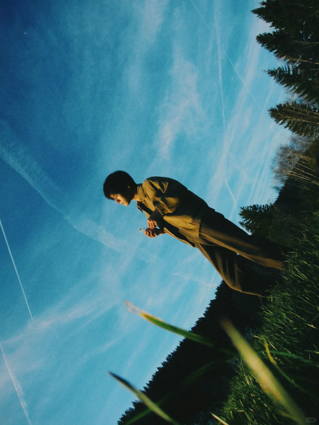 新壁纸来咯❤️