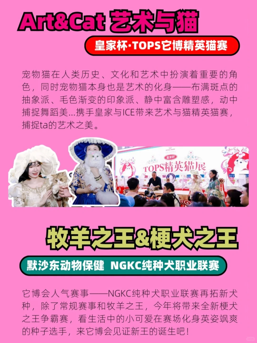2025它博会来啦❗附早鸟?入口✅️攻略❗