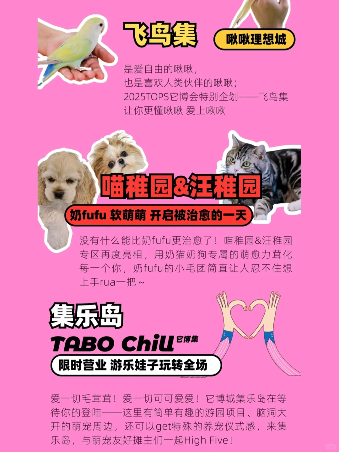 2025它博会来啦❗附早鸟?入口✅️攻略❗