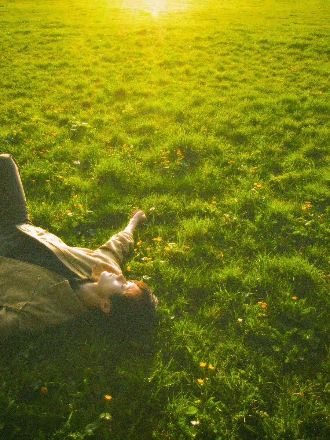 新壁纸来咯❤️