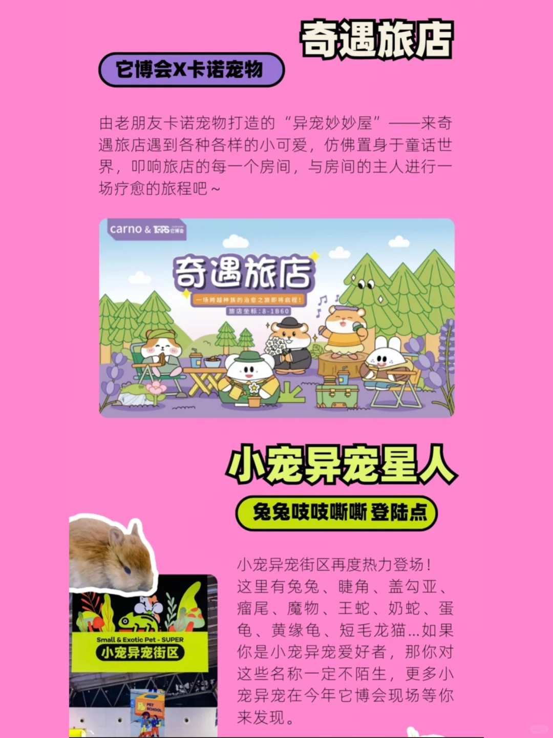 2025它博会来啦❗附早鸟?入口✅️攻略❗
