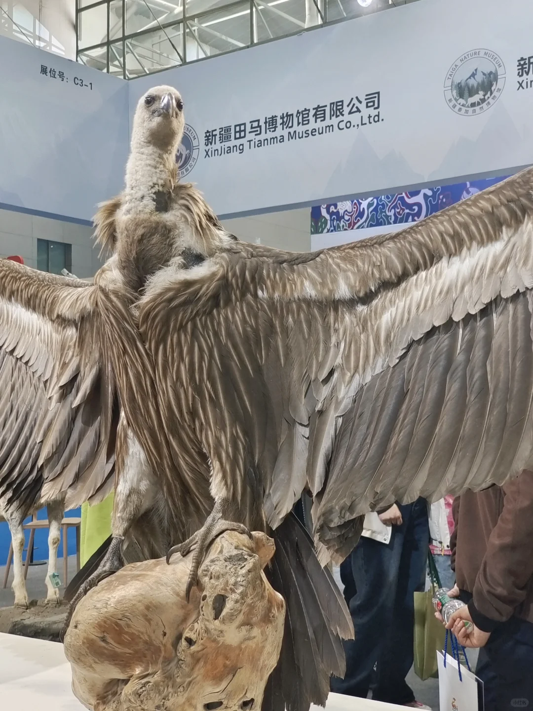 认知被刷新⊙▽⊙你以为它只是哈密瓜吗？