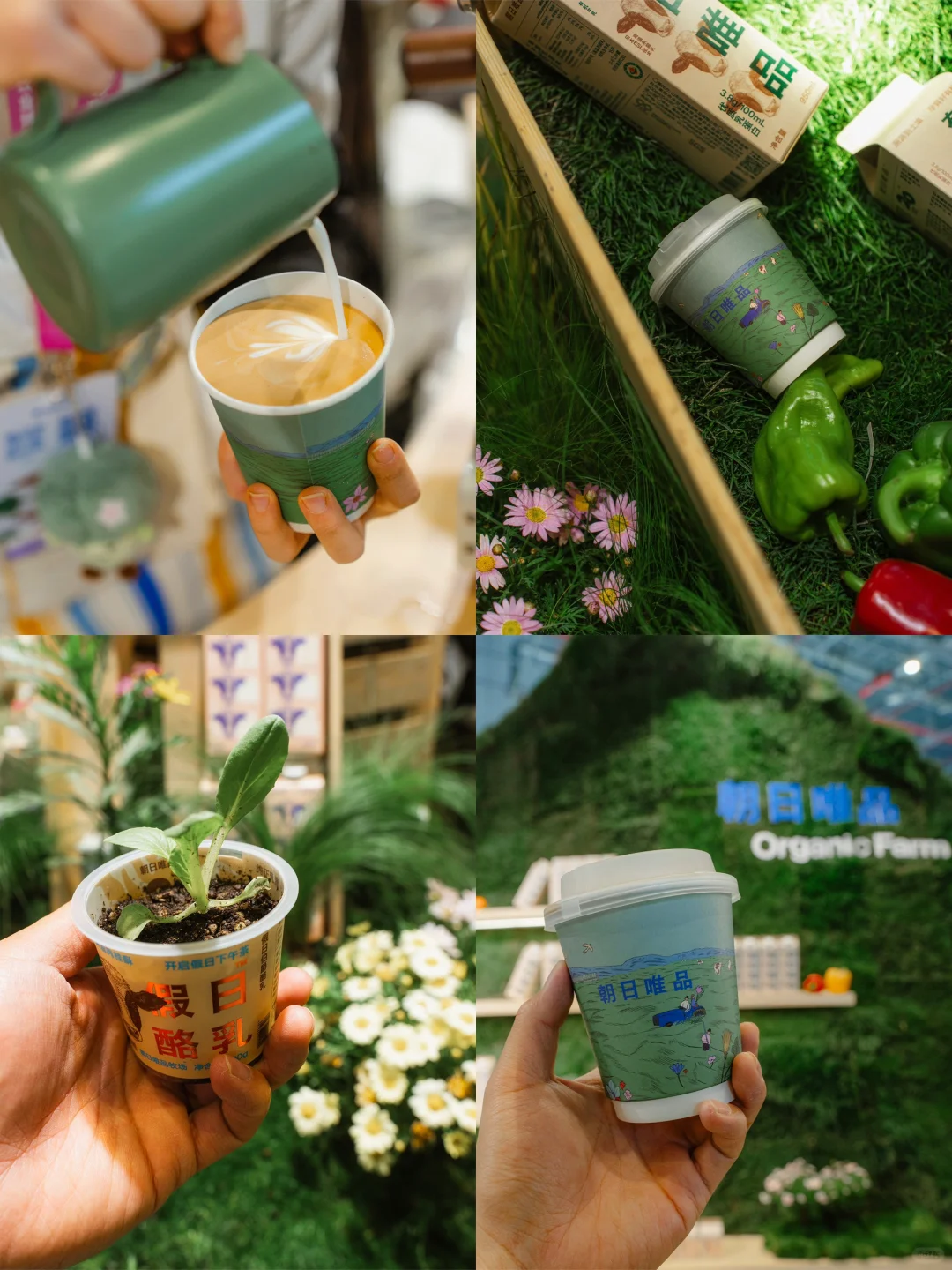 免费吃喝玩乐✨在上海来这个展子就够啦‼️