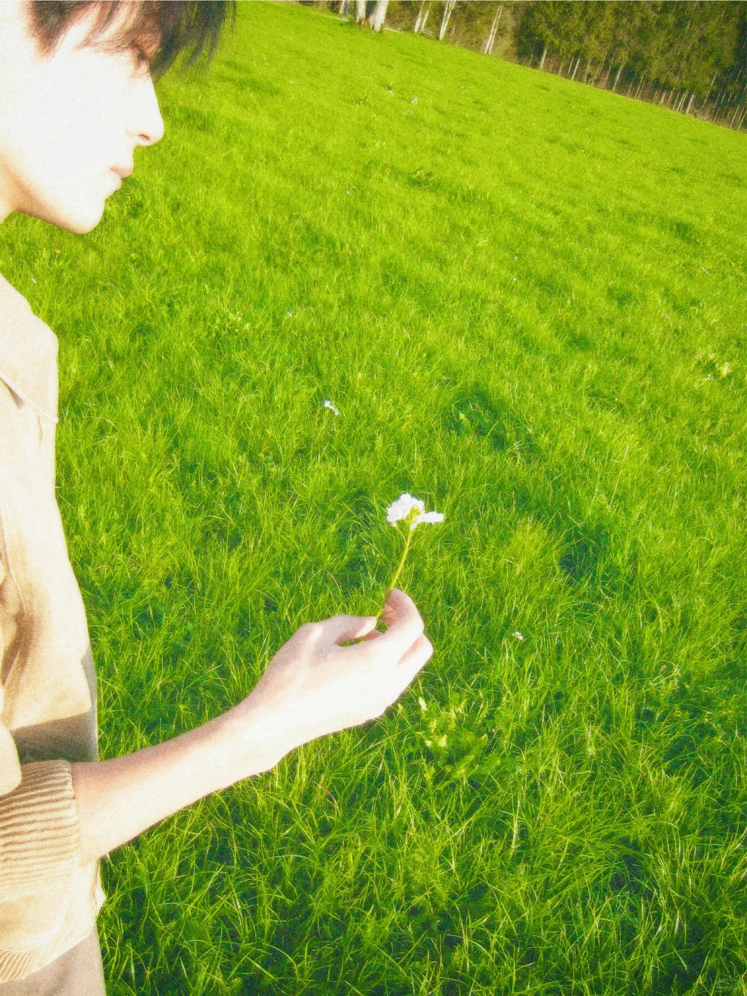 新壁纸来咯❤️