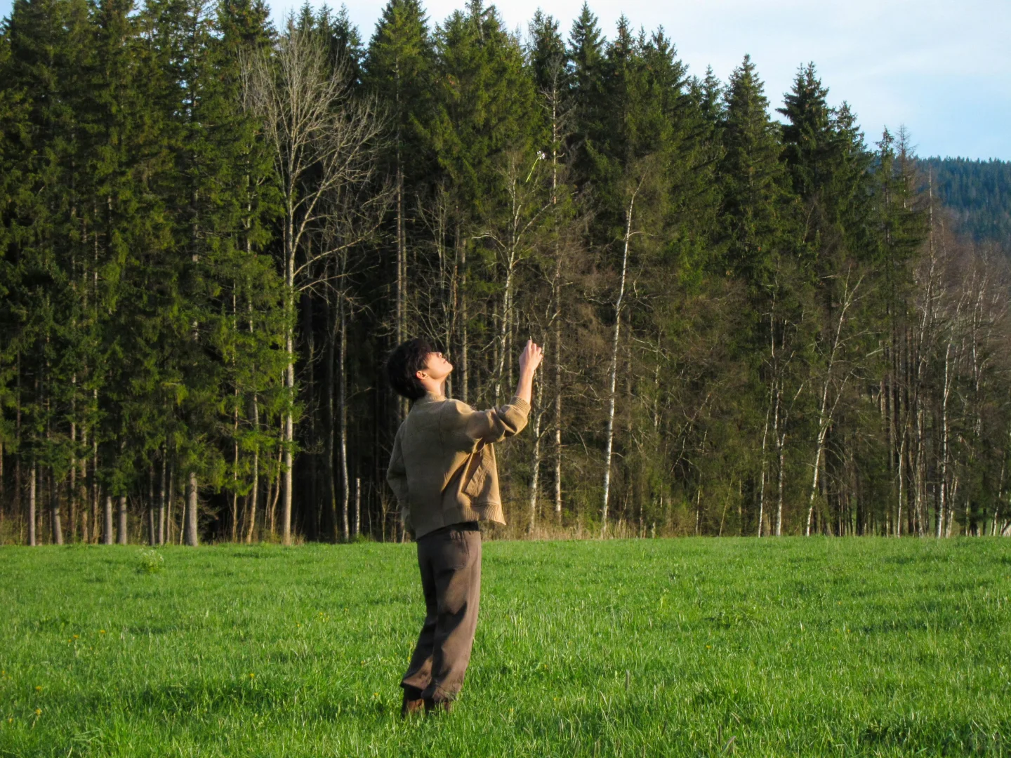 新壁纸来咯❤️