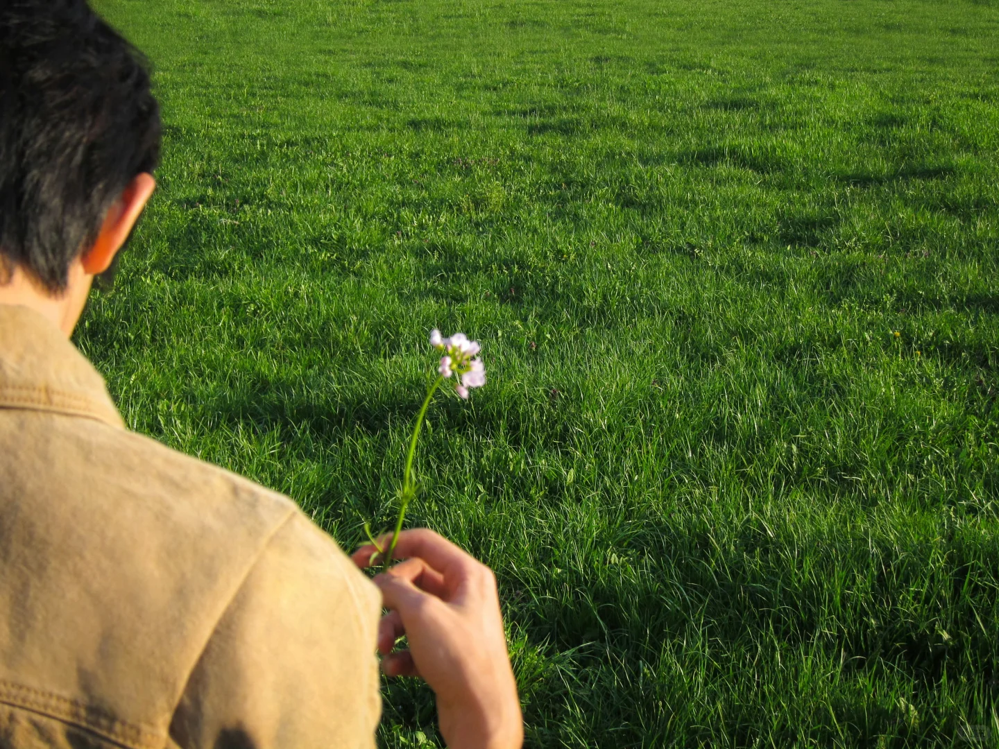 新壁纸来咯❤️