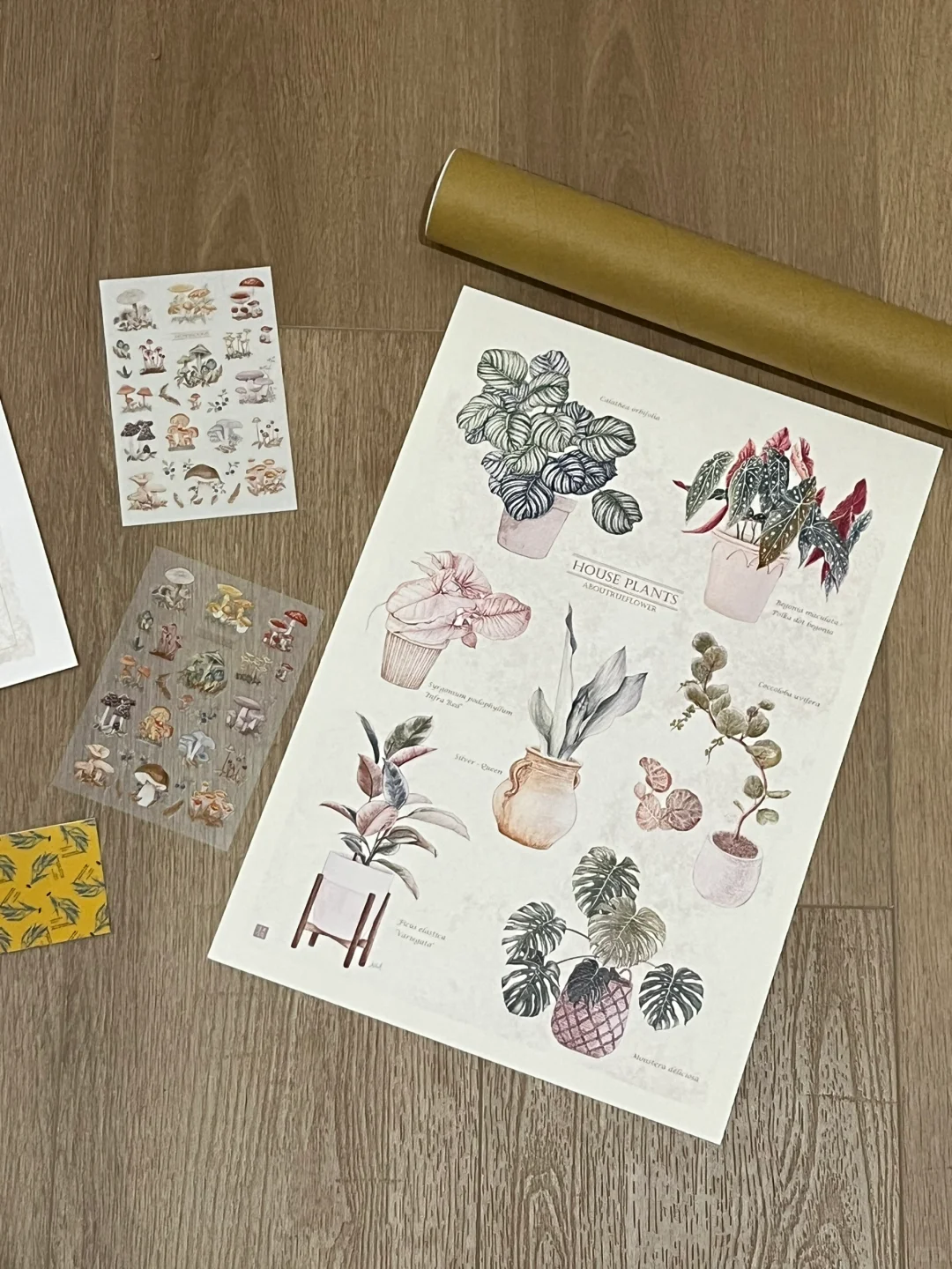 台湾生活｜快乐来源?‍?台北国际插画博览会