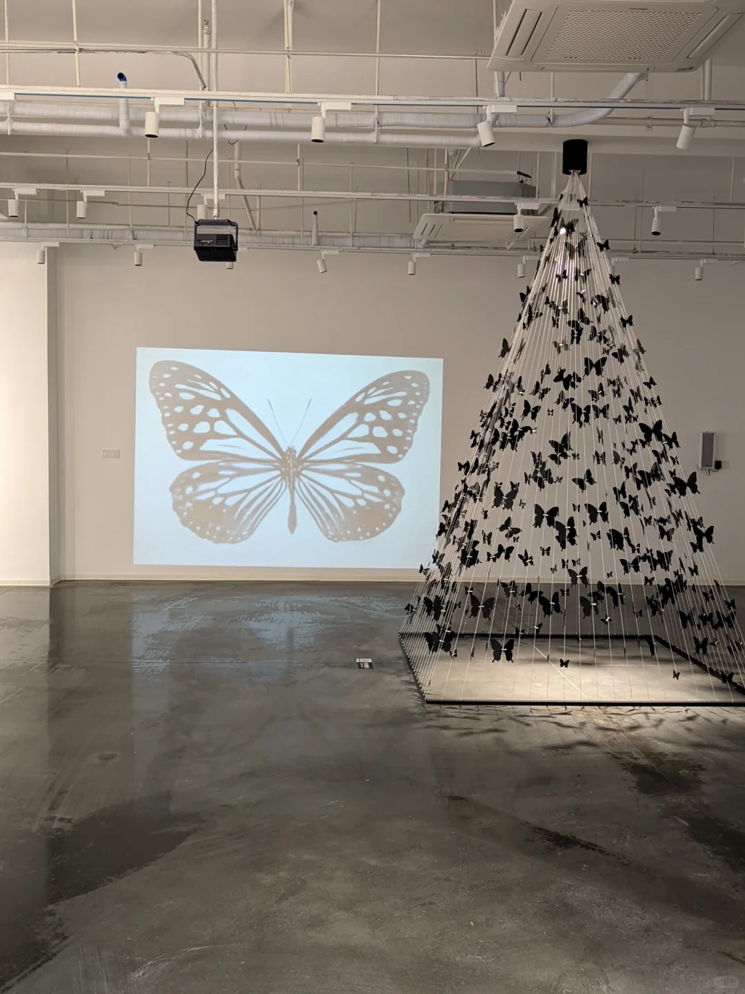 ?重庆高效逛展｜解锁重力封印〰️