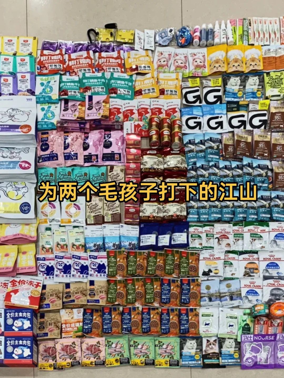 上海它博会免费送?️附轻松薅礼版！