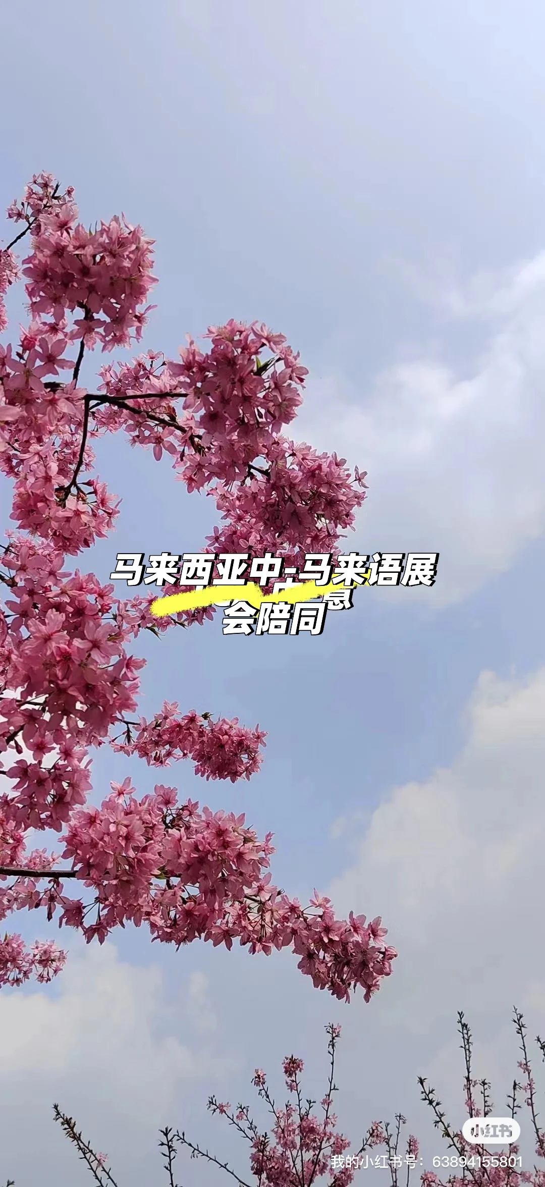 马来西亚语展会陪同