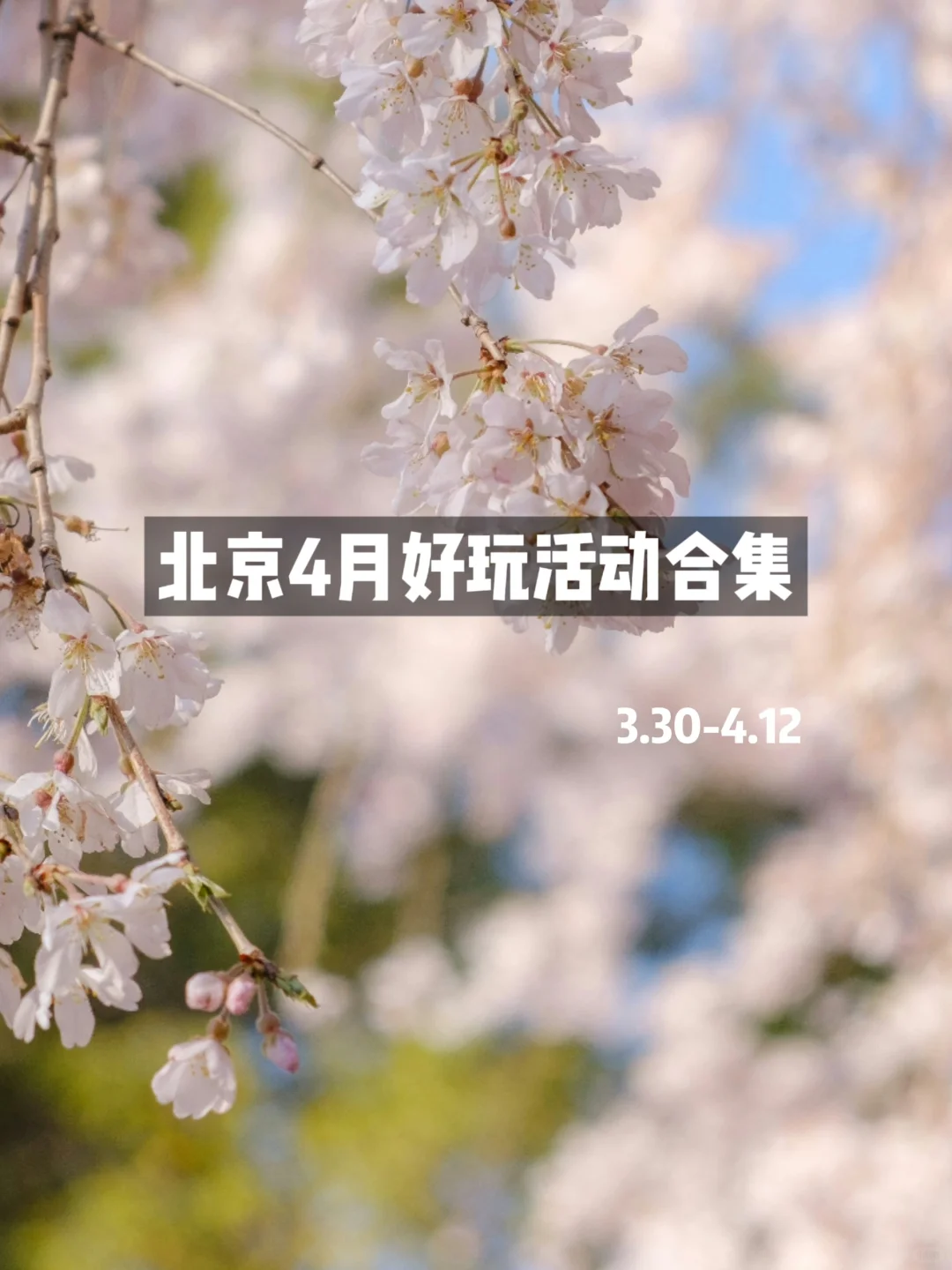 北京4月春日好多有趣?的活动啊啊啊?