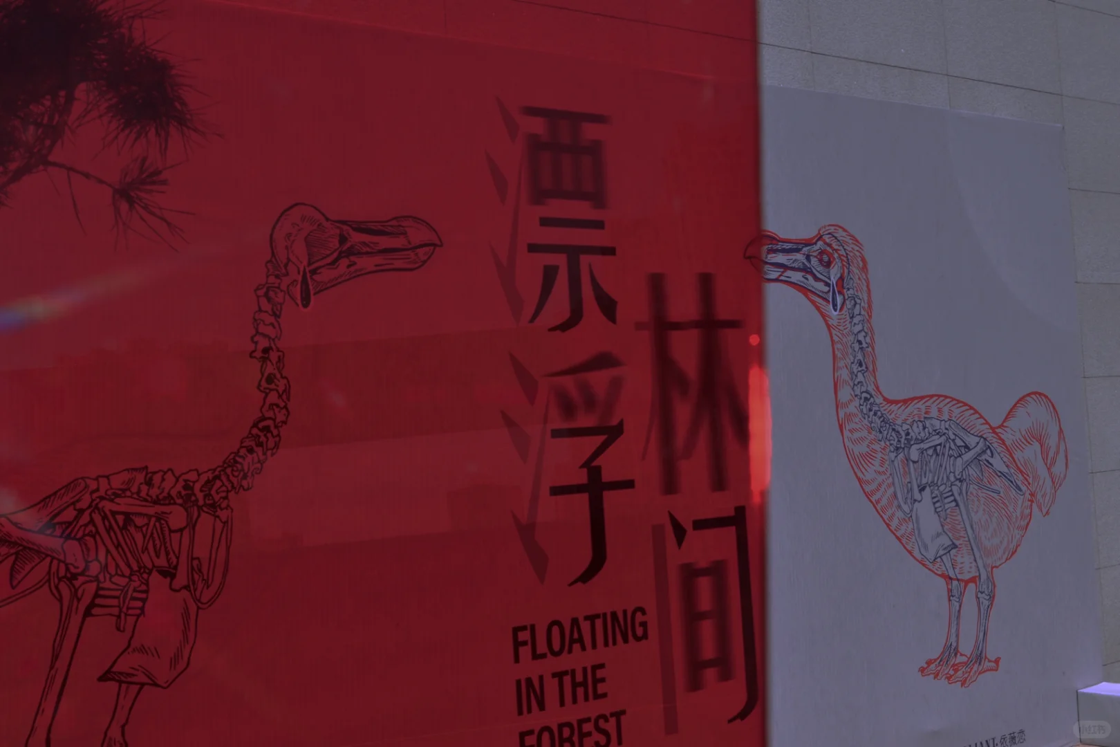 邯郸的展