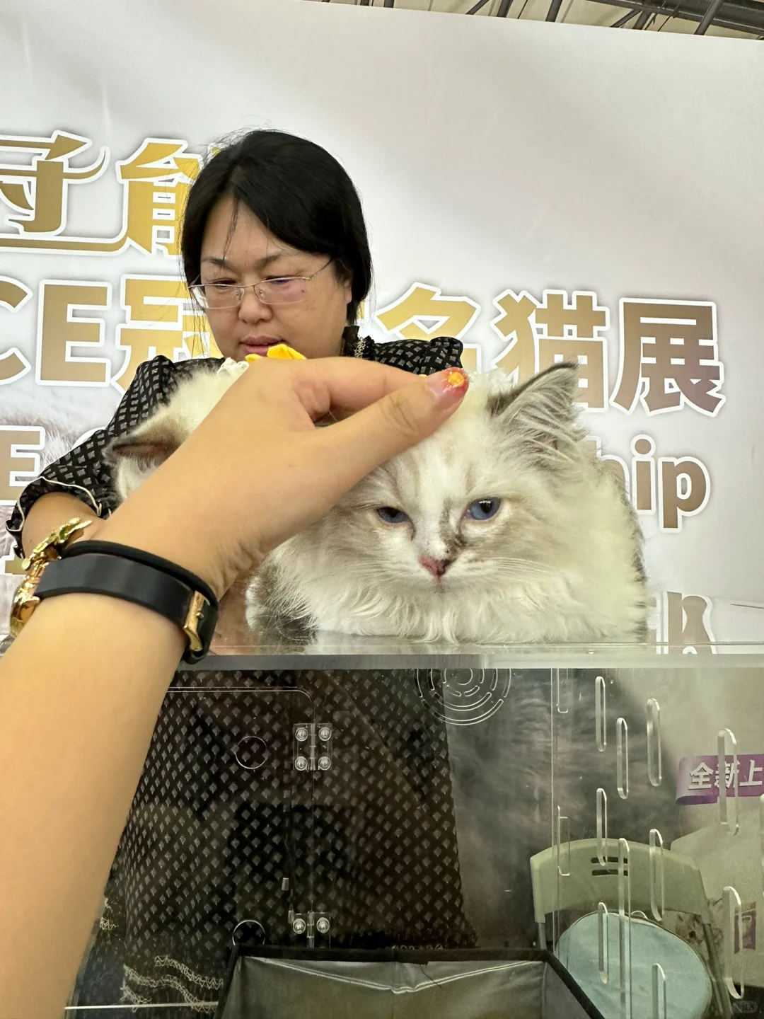上海新国博 | 根本逛不完：亚洲宠物展览会