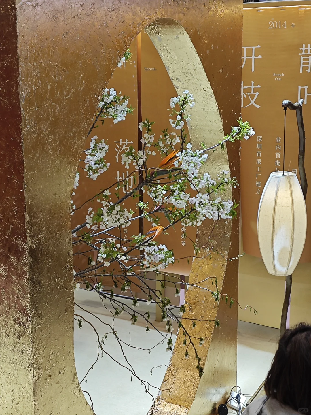 国展中心，极限吃喝