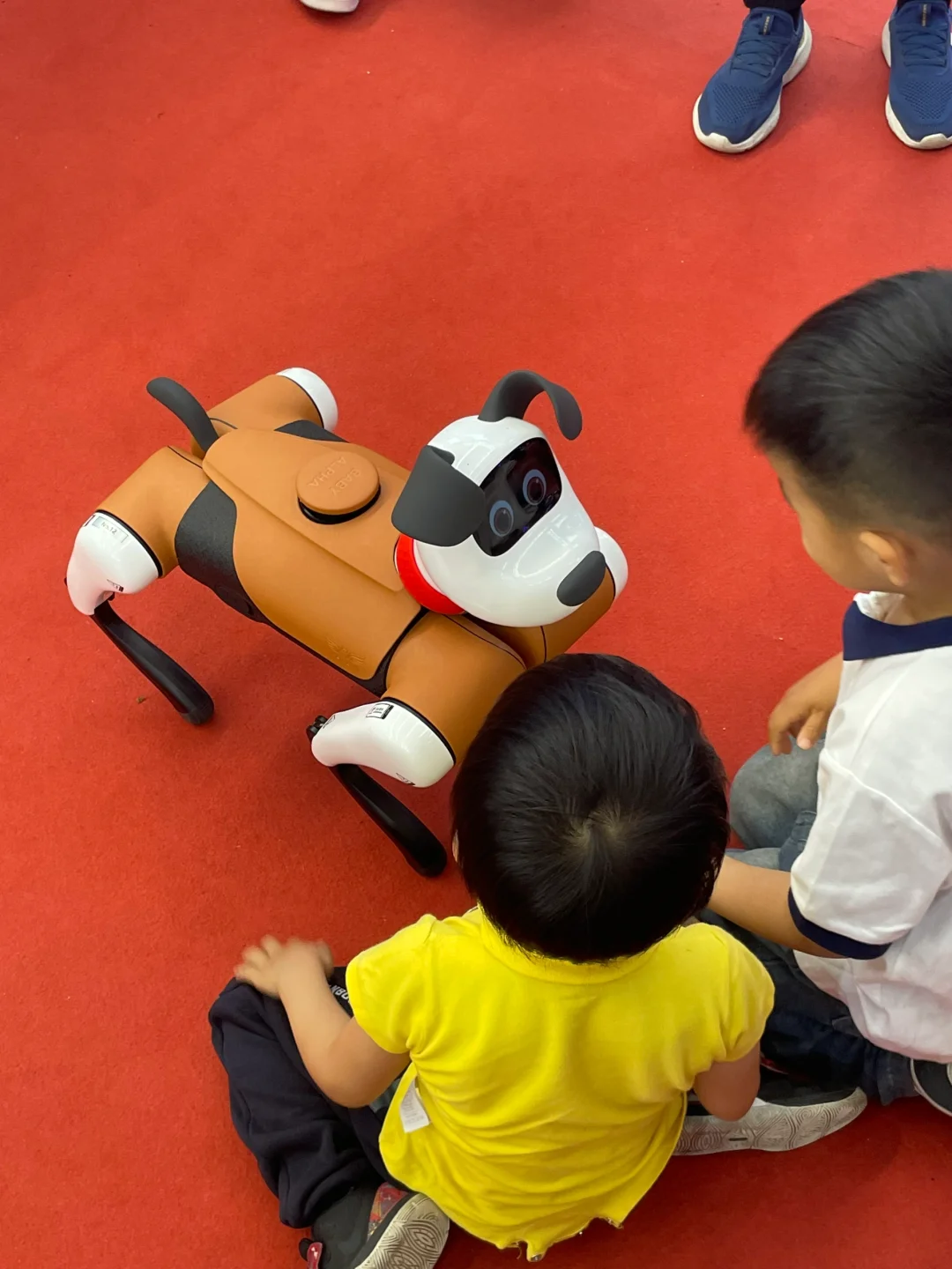 中俄博览会