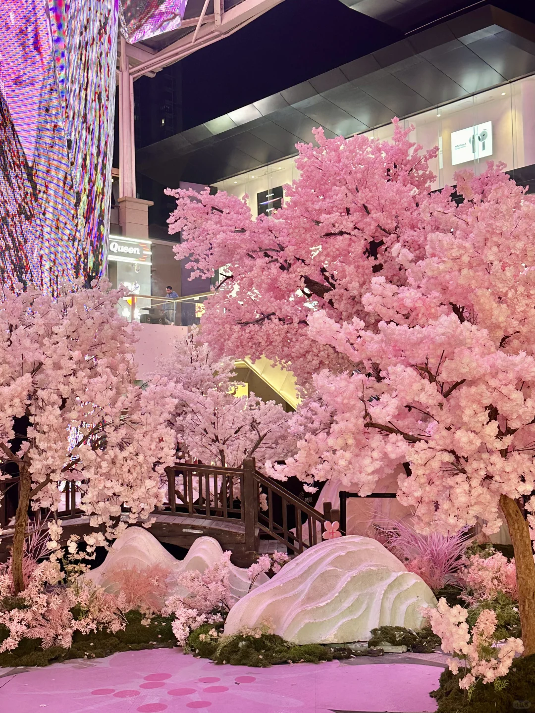 西安?老城根春日?樱花新展！美晕喽（附打卡