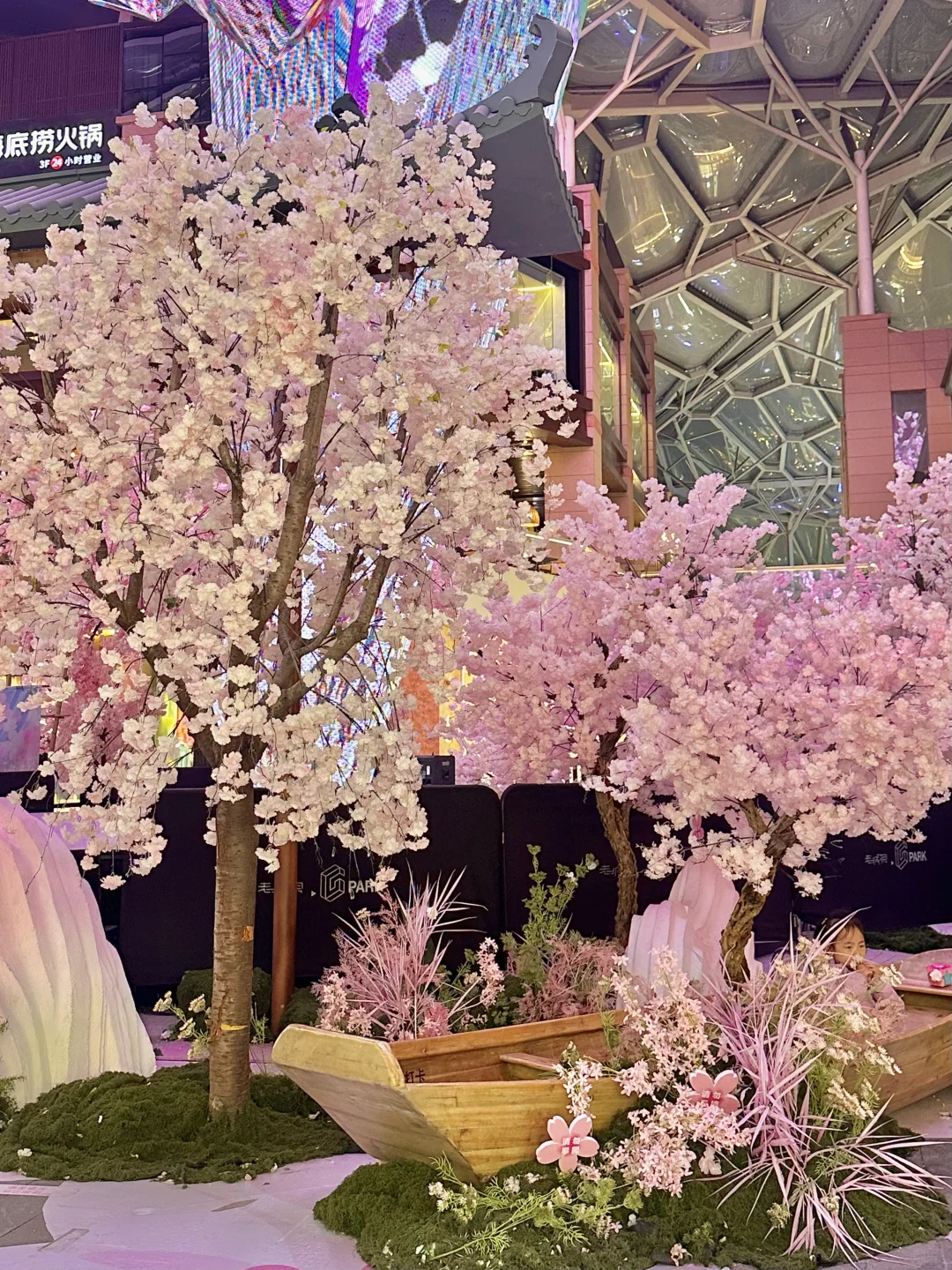 西安?老城根春日?樱花新展！美晕喽（附打卡