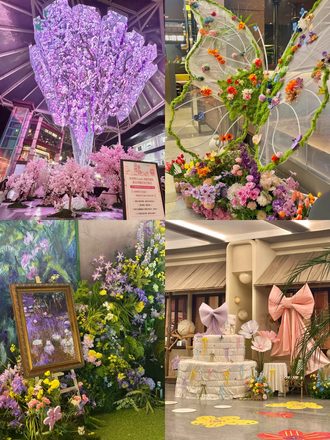 西安?老城根春日?樱花新展！美晕喽（附打卡