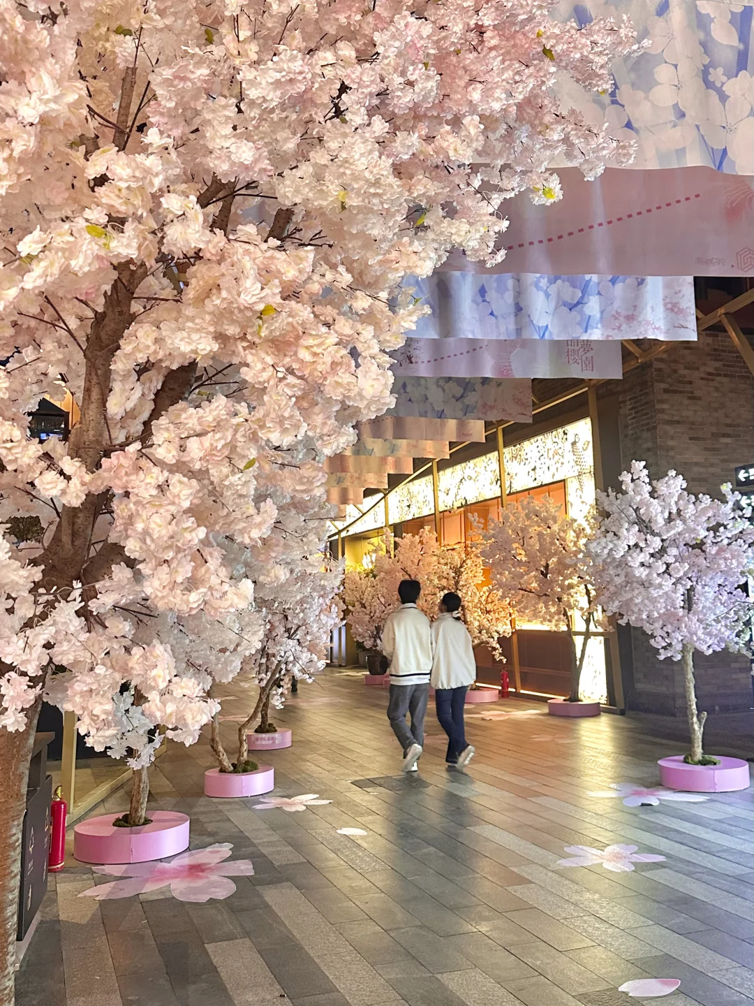 西安?老城根春日?樱花新展！美晕喽（附打卡