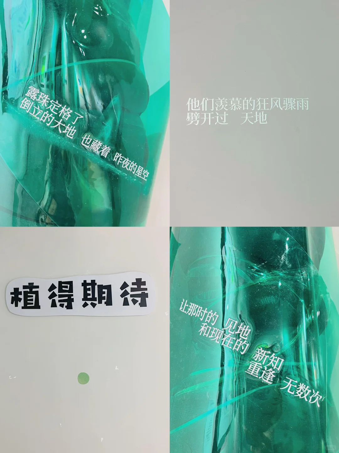 在西安蕞chill街区❗️邂逅诗意与设计的春天