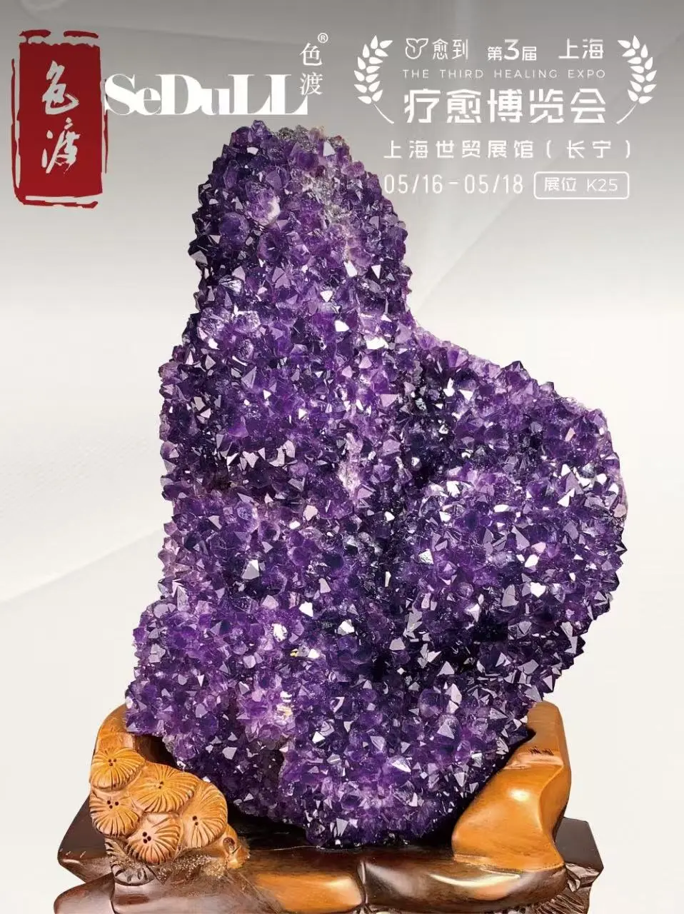 谁想来上海参加博览会