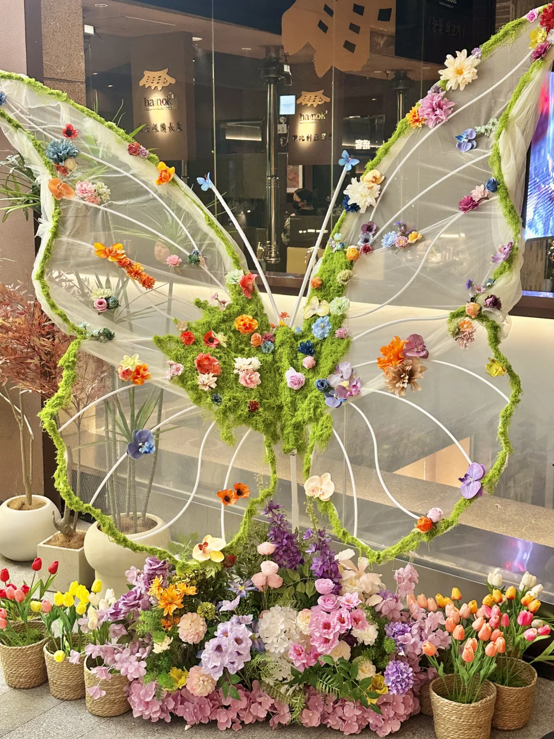 西安?老城根春日?樱花新展！美晕喽（附打卡