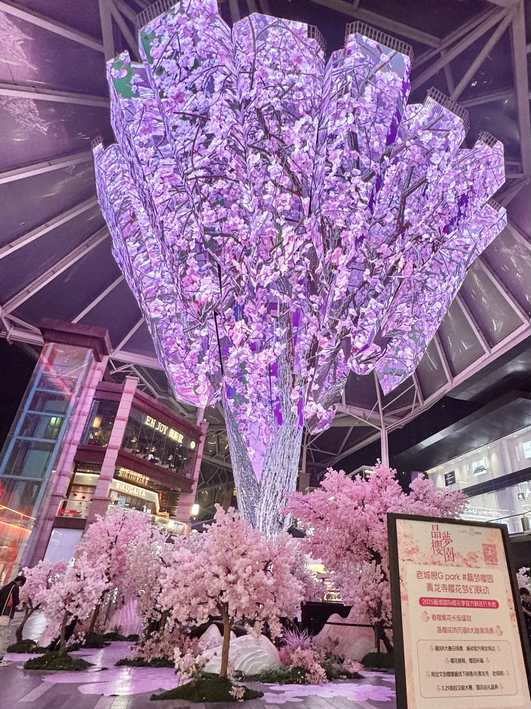 西安?老城根春日?樱花新展！美晕喽（附打卡