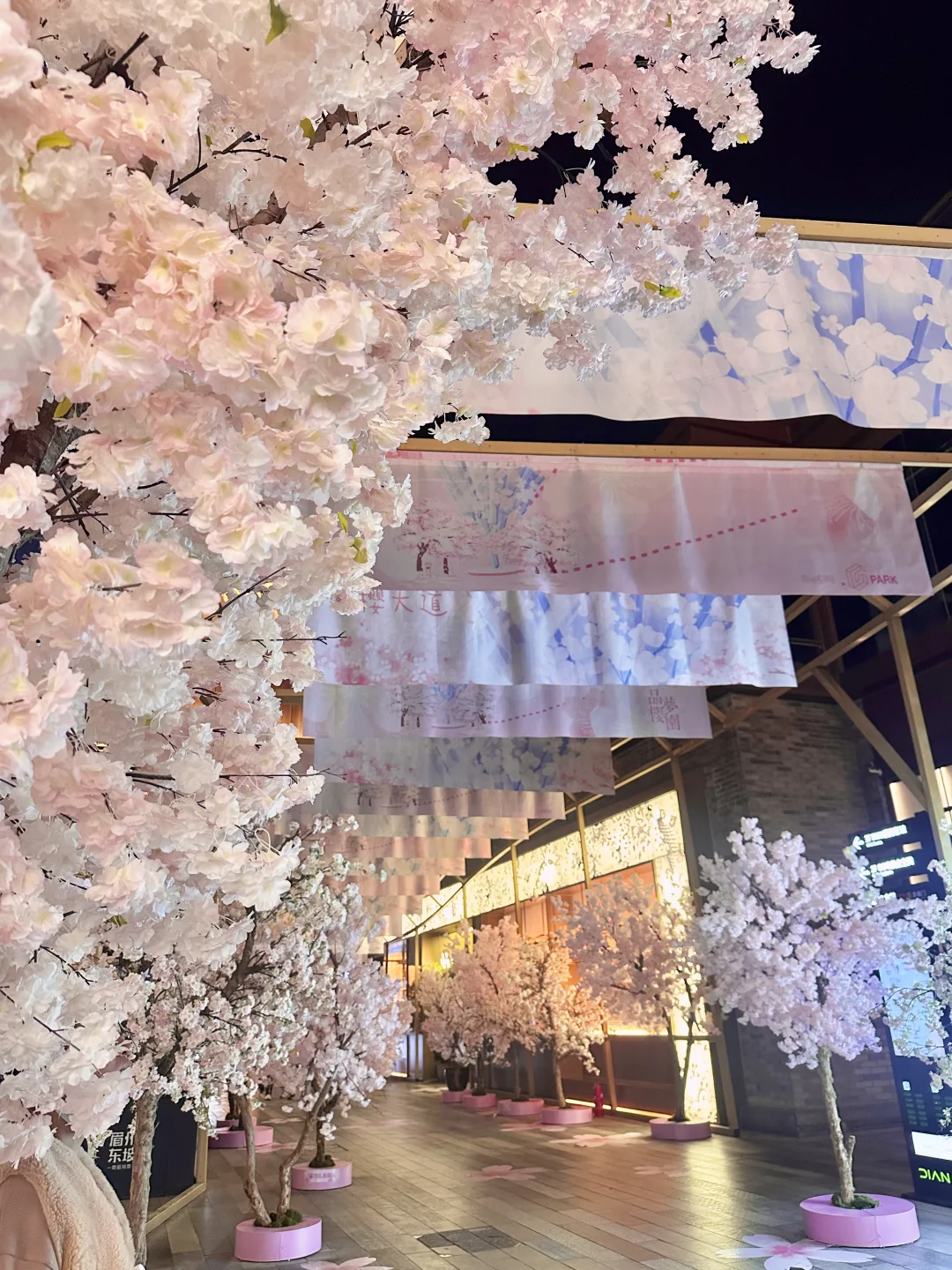 西安?老城根春日?樱花新展！美晕喽（附打卡