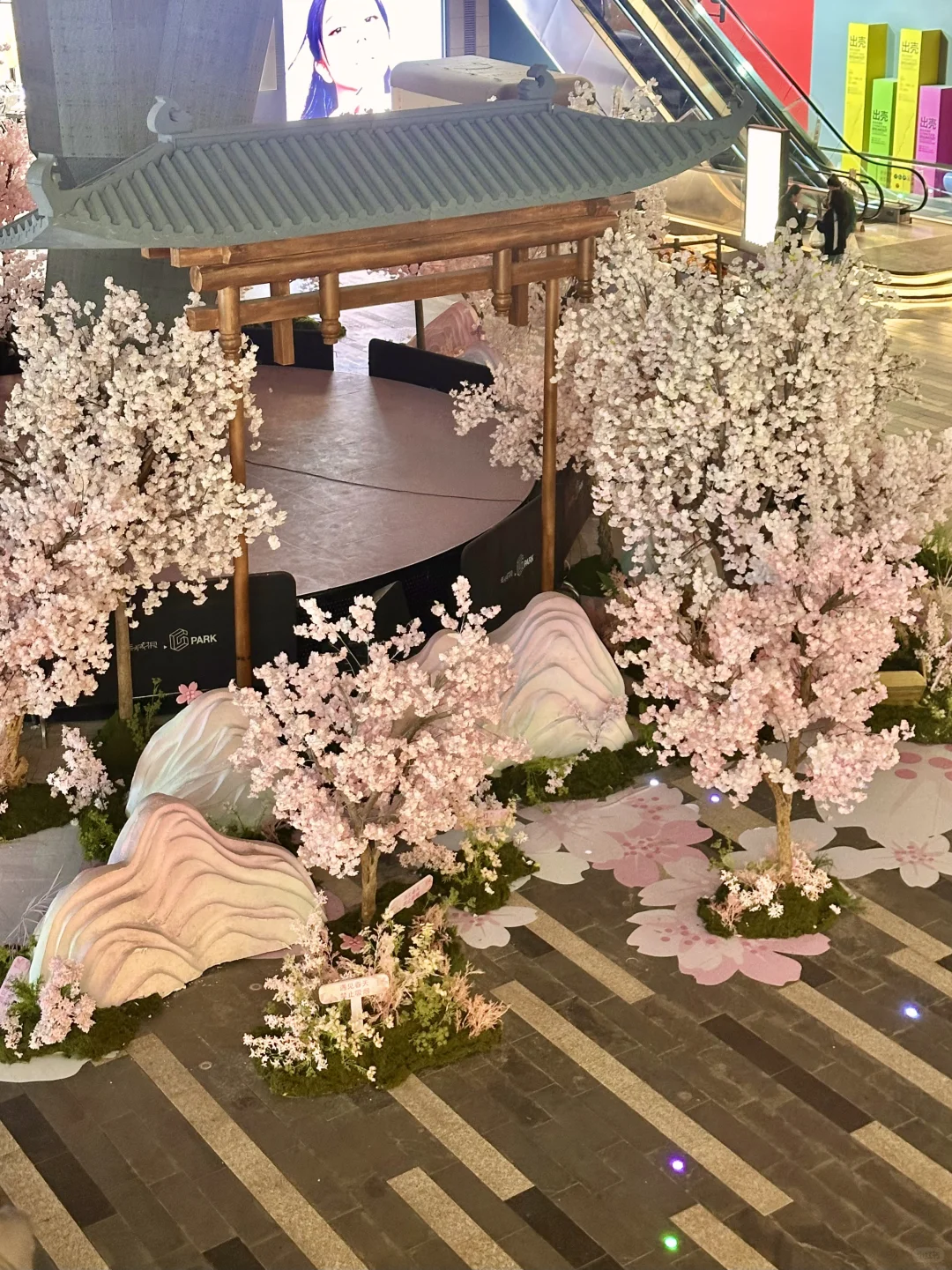 西安?老城根春日?樱花新展！美晕喽（附打卡