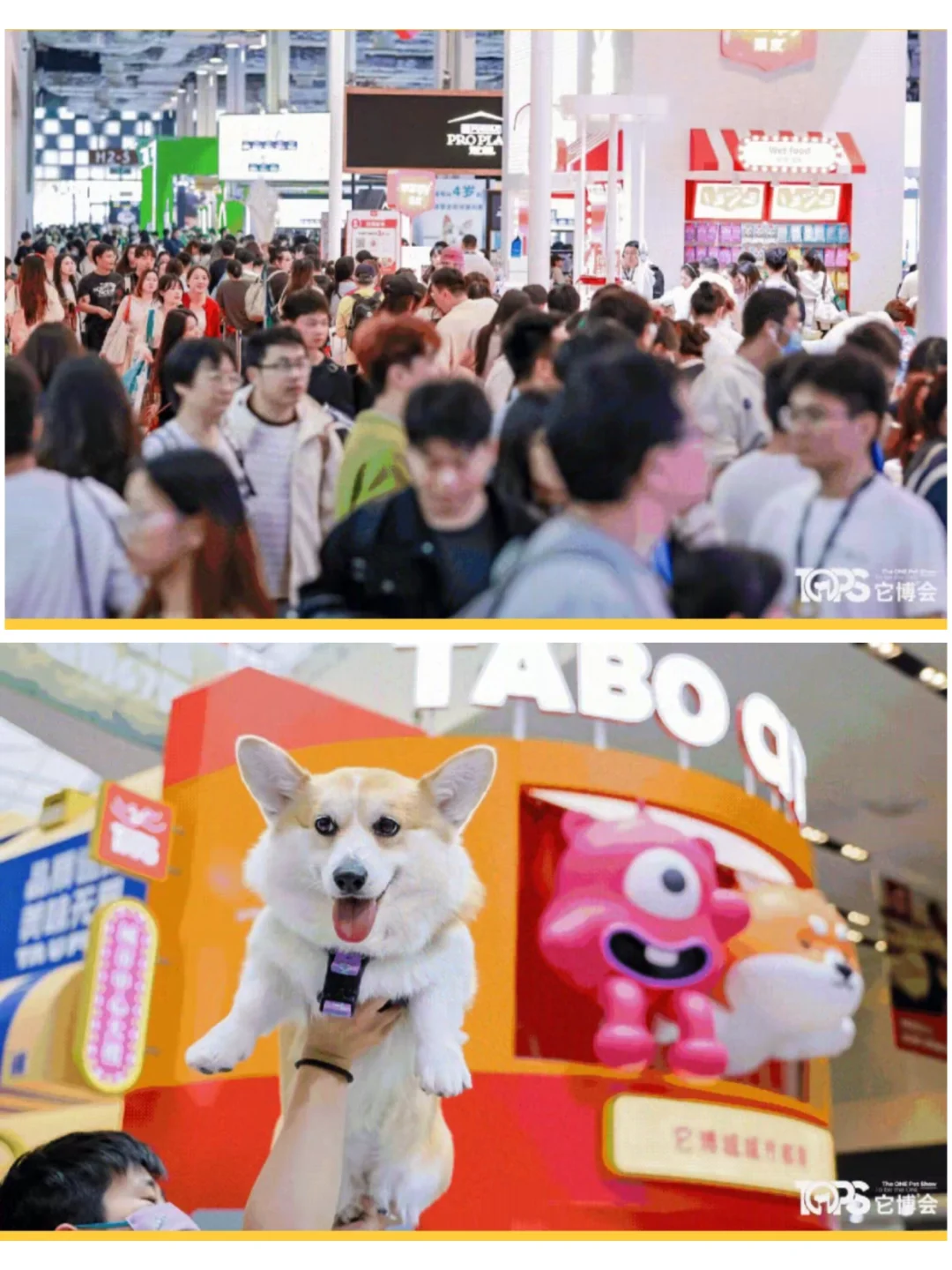 2025上海它博会逛展攻略+免费送?